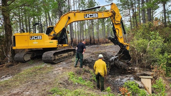 The final update of the Croatan forest fire.