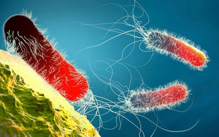 How global leaders plan to stop antimicrobial resistance by 2030.