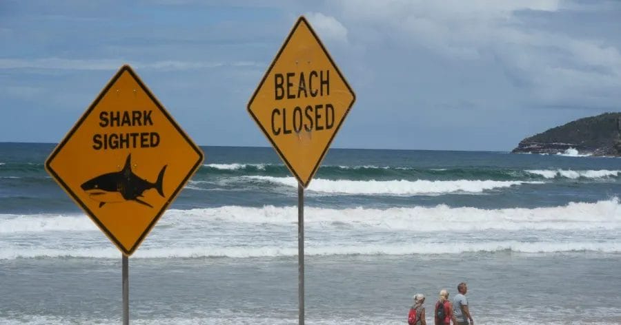 39-year-old surfer attacked by shark in 4th incident off Australian coast