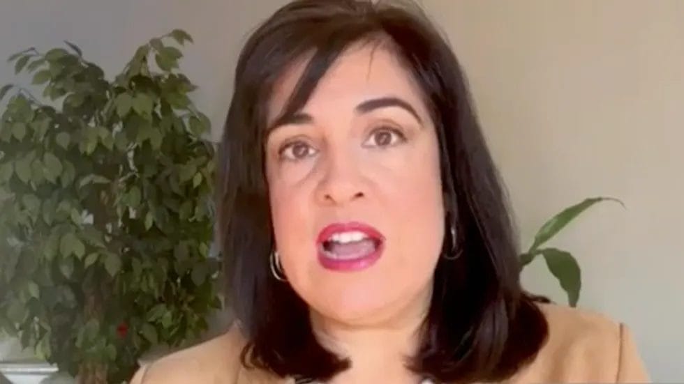 CNN host mocks GOP guest’s Trump praise, draws surprising admission