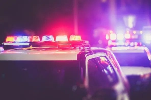 Three Dogs Found Dead in Sub-Zero Windchill: Men Charged with Animal Cruelty