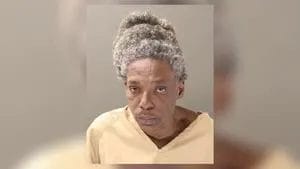 59-year-old Woman Arrested After Deadly Downtown Fight