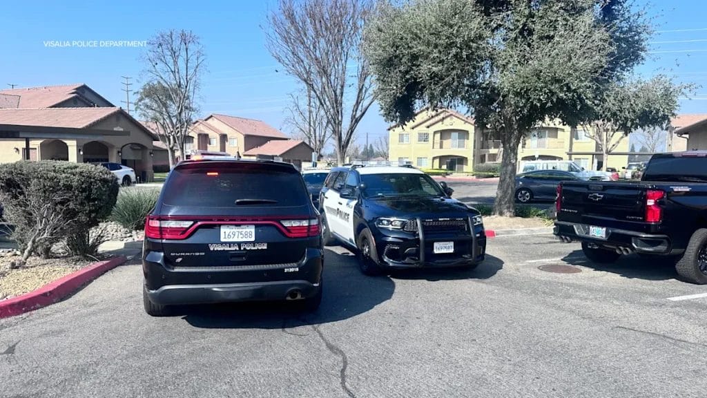 74-year-old Woman Fatally Stabbed by Hit-and-Run Suspect in Visalia