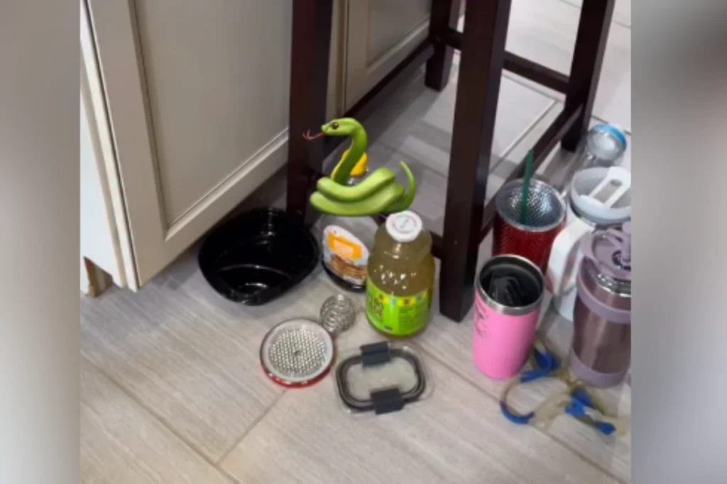 Woman Mistakes SodaStream for Snake in Kitchen Cabinet