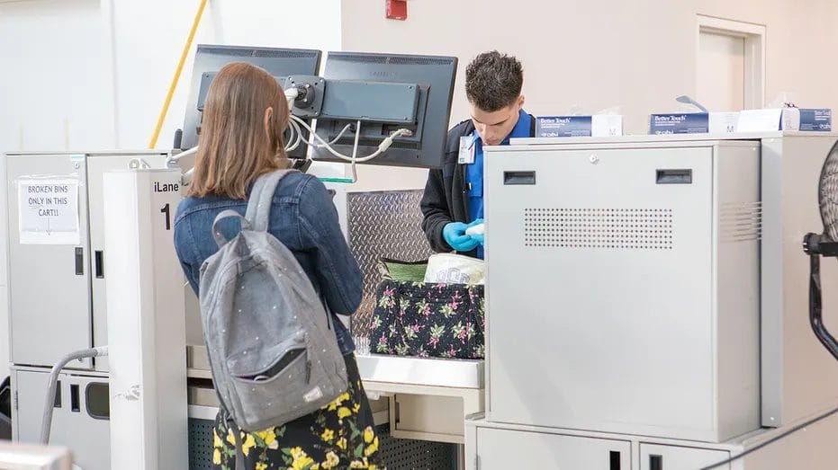 Shocking TSA Discoveries: Turtles, Bombs, and Knives Found in Airport Security Busts