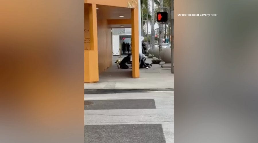 Five Suspects Arrested in Violent 2024 Rodeo Drive Robbery