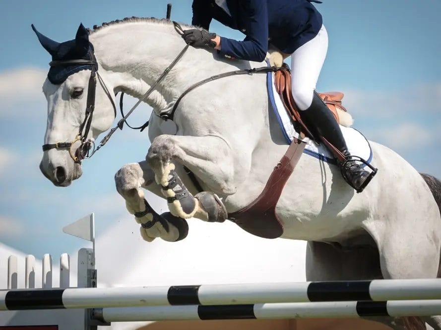 NJ Horseback Riding Coach Sexually Assaulted Teen Student