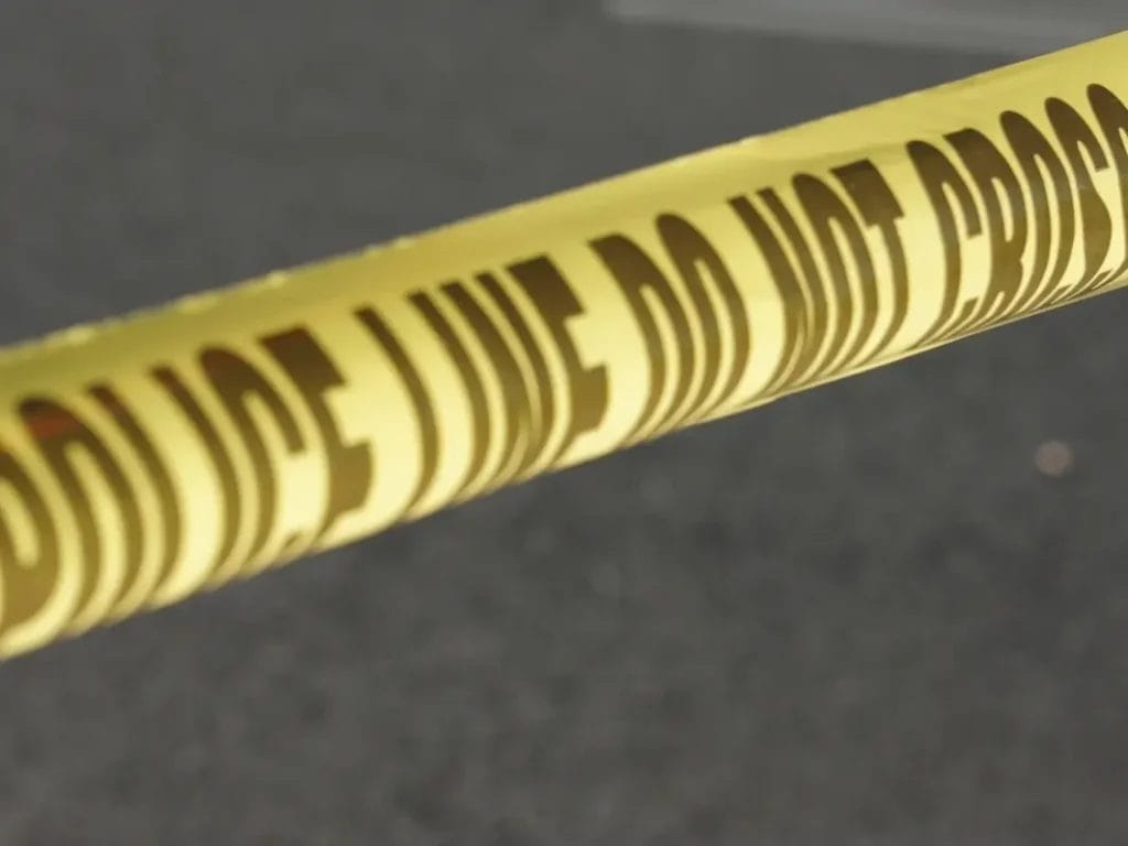 Minneapolis Man Accused Of Killing Wife, Her Son In Anoka County: Reports