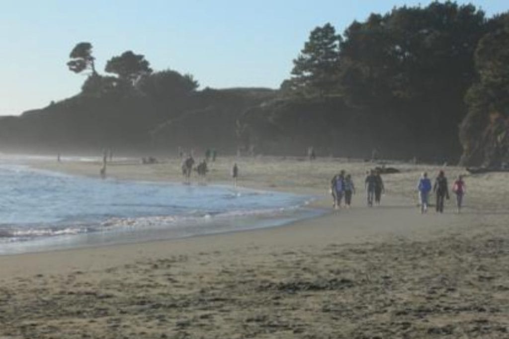 Surfer James Eastman, 39, Saved by Off-Duty Lifeguards in Shark Attack