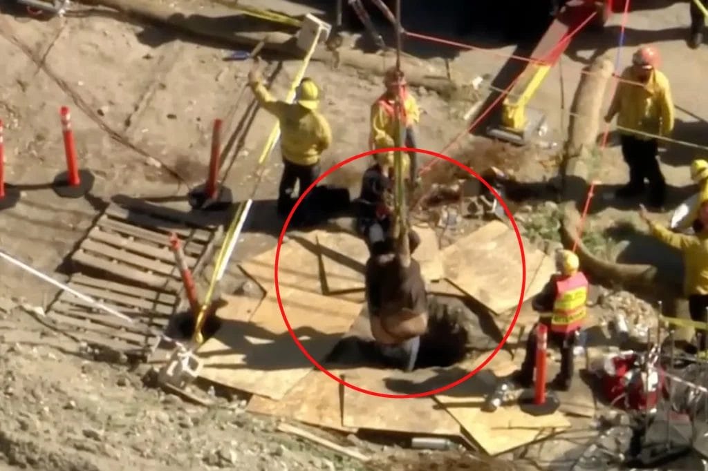 500-pound man falls into 15ft hole in California: Now on life support