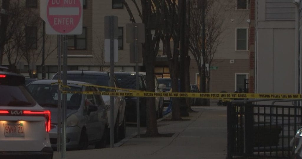 Gisselle Pascual, 24, Faces Manslaughter Charge in South Boston Stabbing