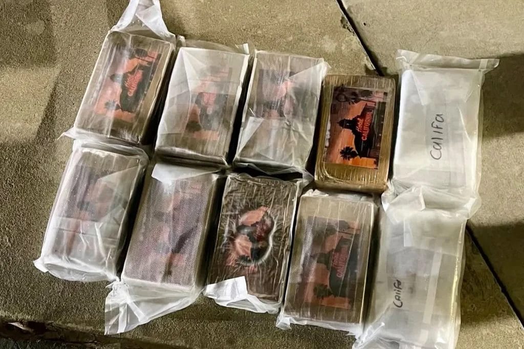 ‘Hotel California’ cocaine worth $1M seized in Central Valley bust