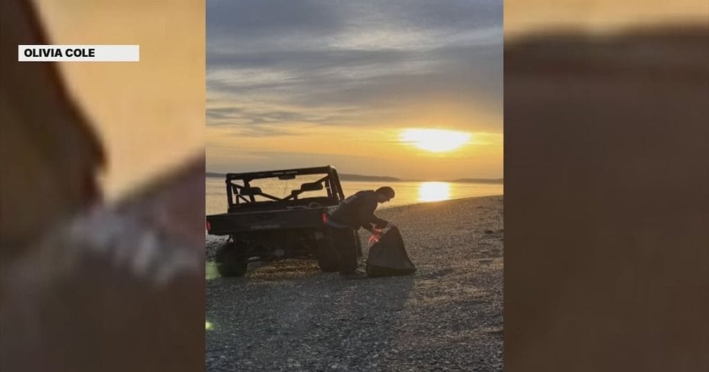 Investigators Puzzled by 20 Mystery Canines on Guemes Island Shore
