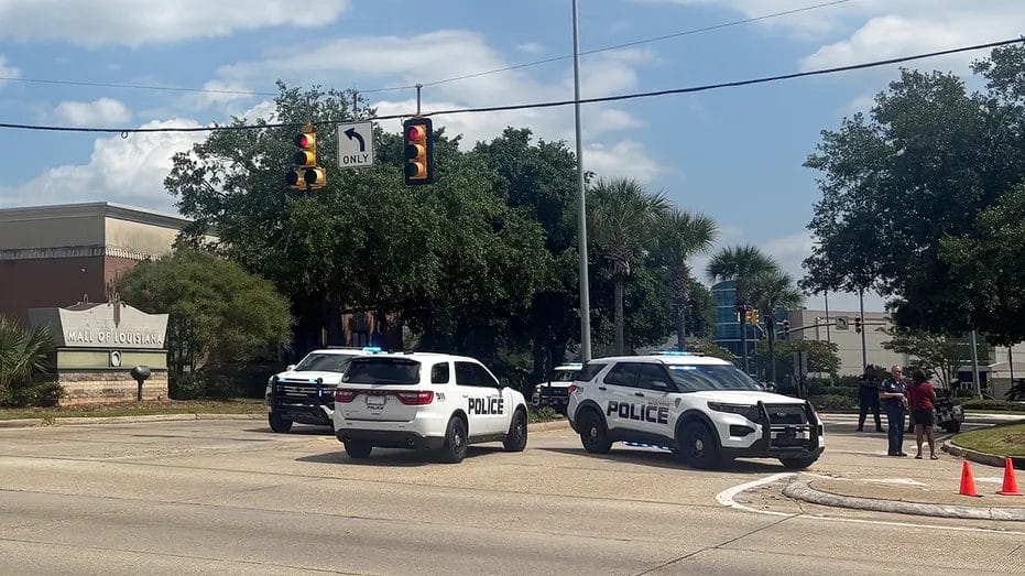 Mall of Louisiana shooting prompts Louisiana bill expanding murder charges
