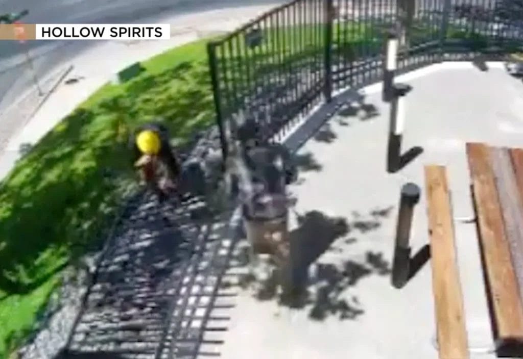 New Mexico distillery owner shocked by $10K fence theft in broad daylight