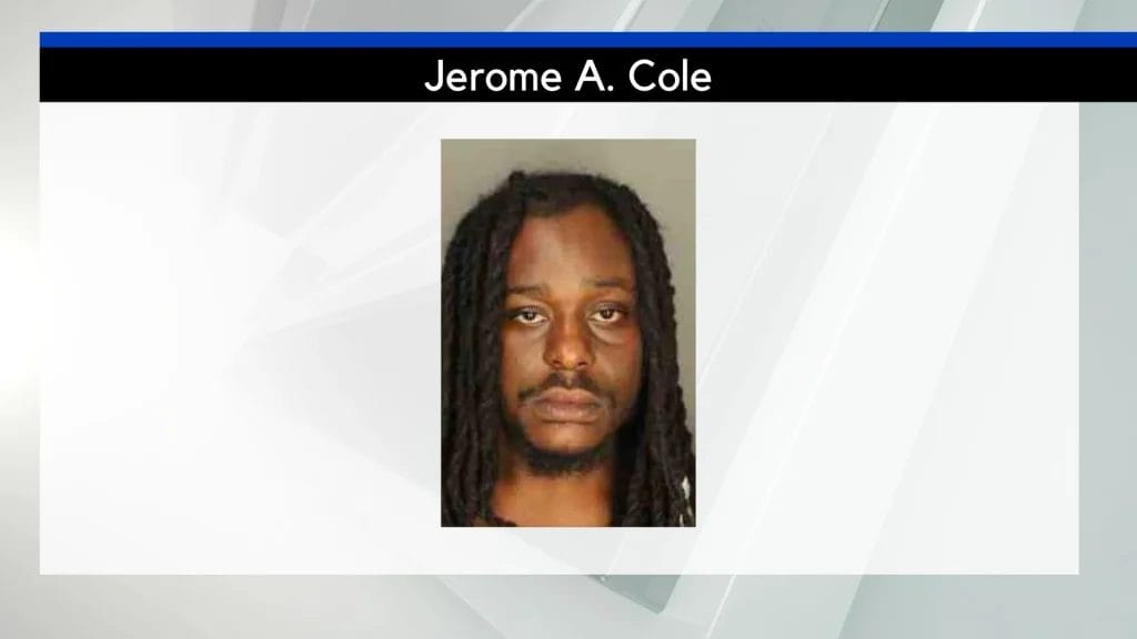 Buffalo man sentenced to 18 years for brother’s killing